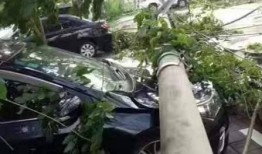 海南最新事件爆料信息大全,揭秘岛内热点动态全解析